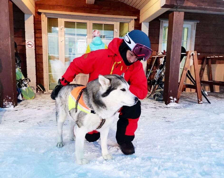 ���������� ��������, ���� ������� ��������, 38 ���, ������������ ��� ������, ����� � ���������, c�������� ���������, ���������