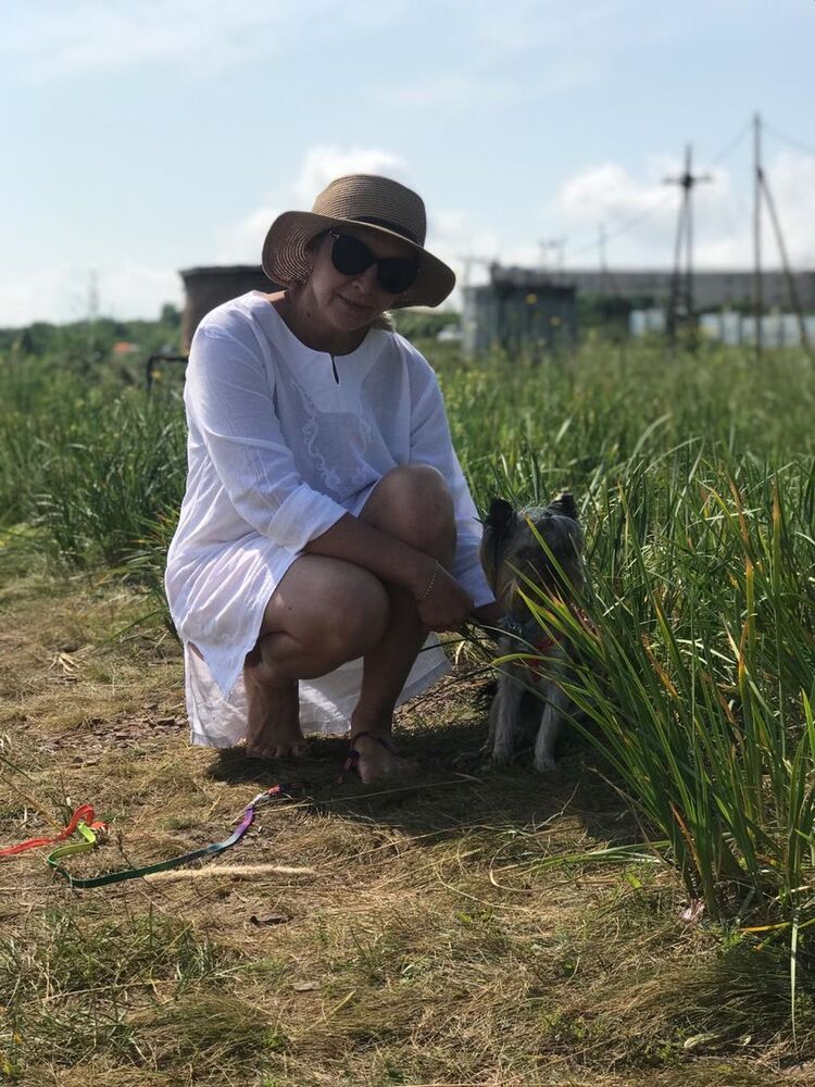 ���������� ����������, ���� ������� �������, 53 ����, ������������ ��� ����� � ���������, c�������� ���������