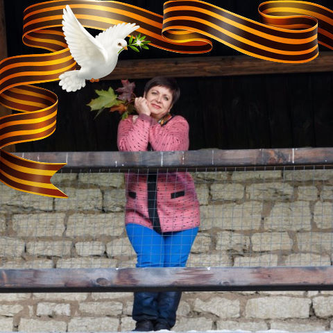 ���� 36126686 ������� �����, 60 ���, ���� ���������� � ������