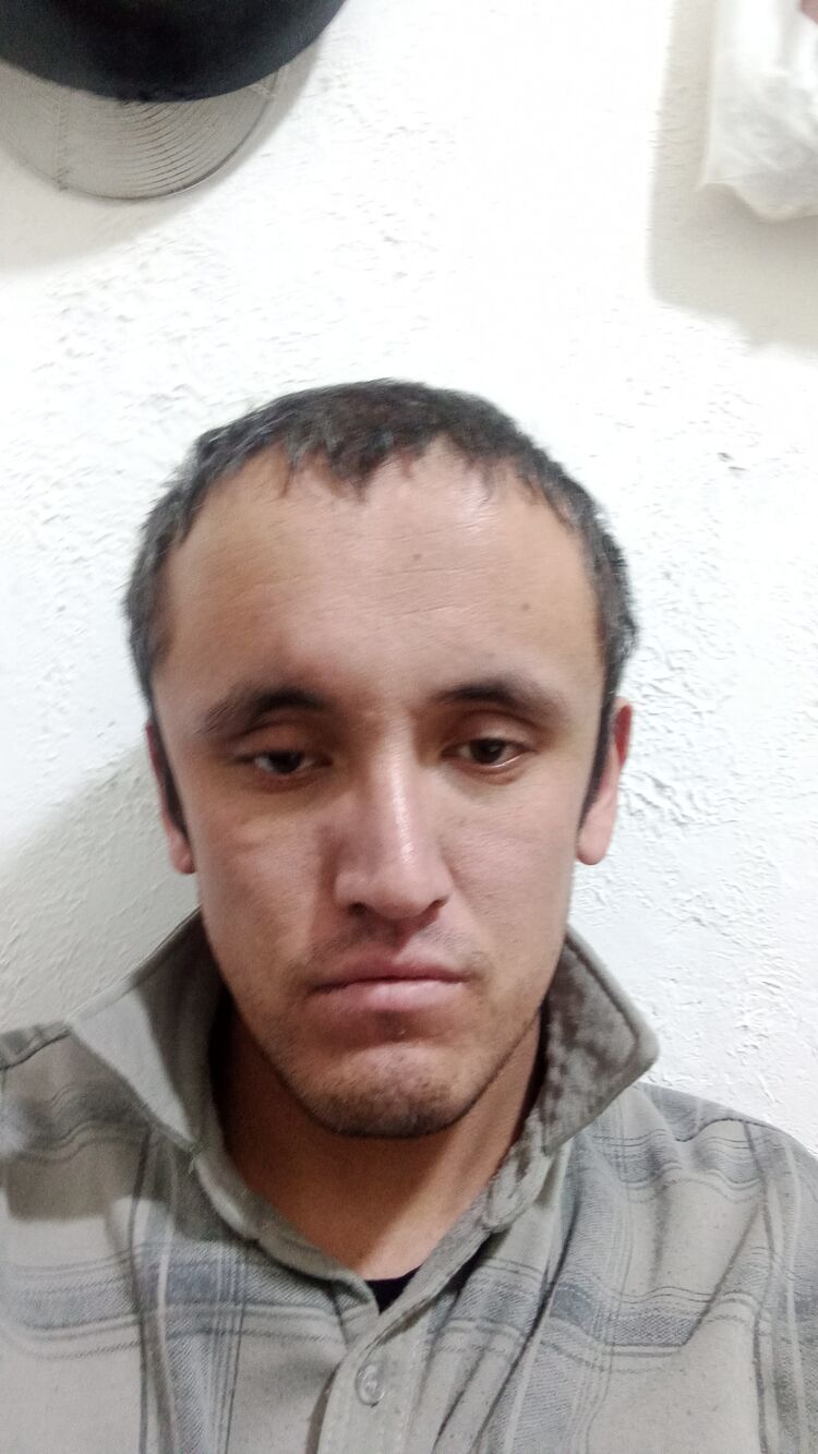  49168646  , 26 ,    