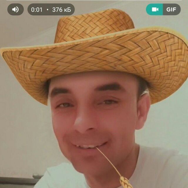  34779956  , 28 ,    