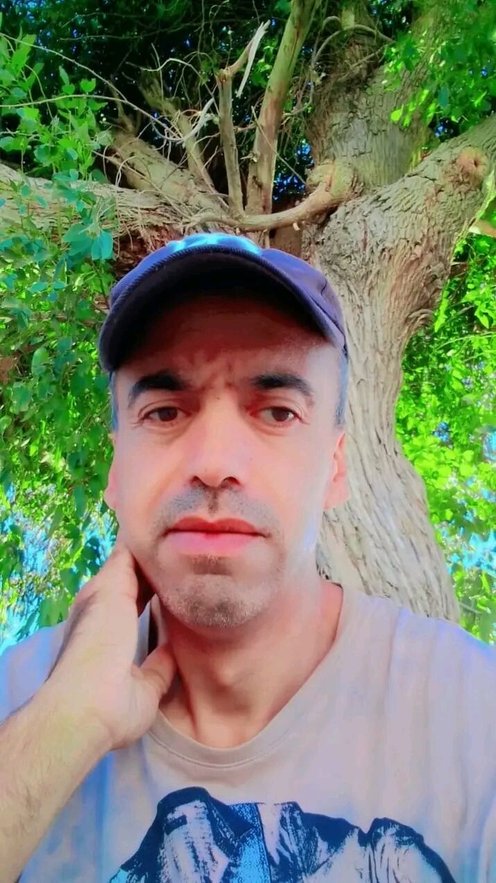 ,    , 41 ,   ,   