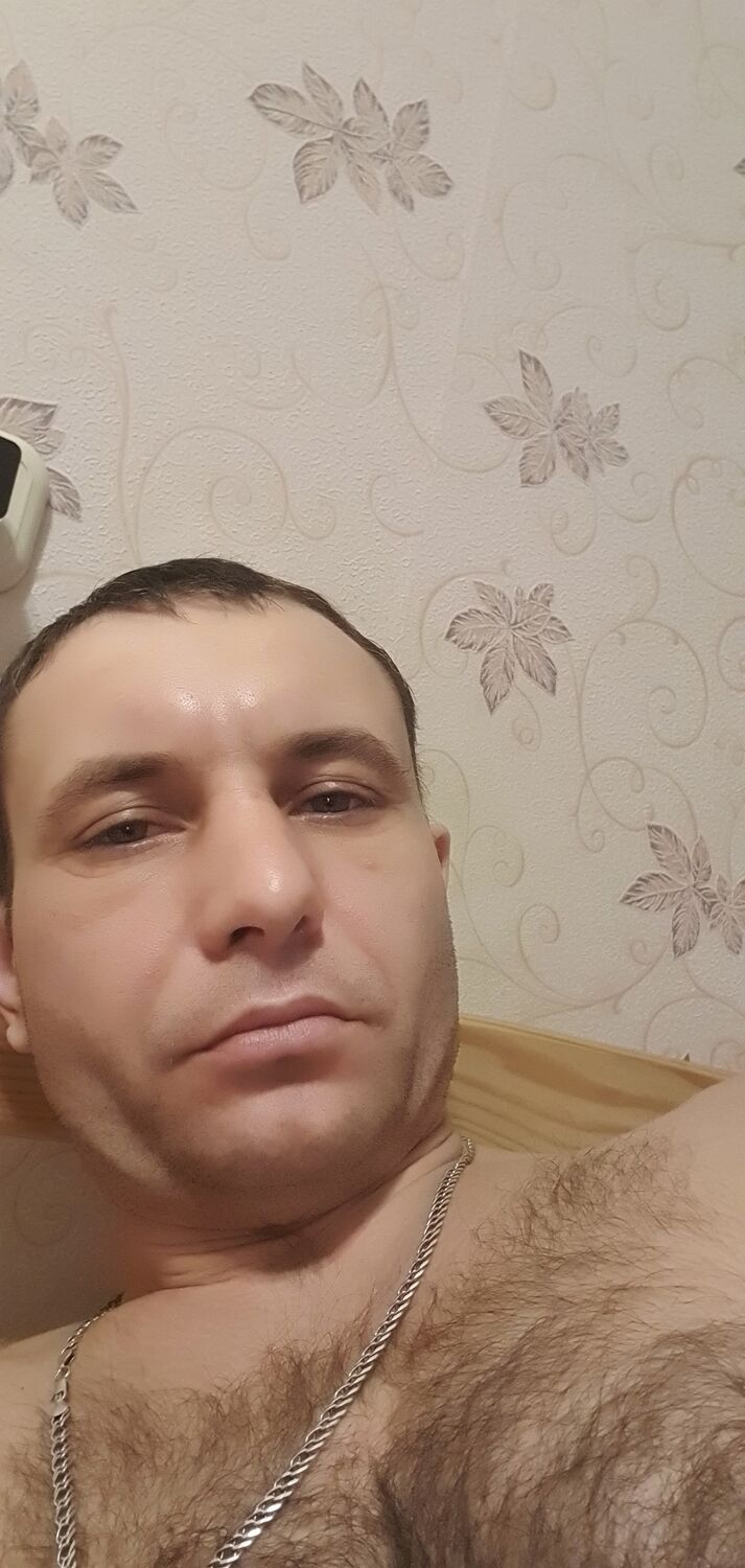 24838186  , 41 ,    