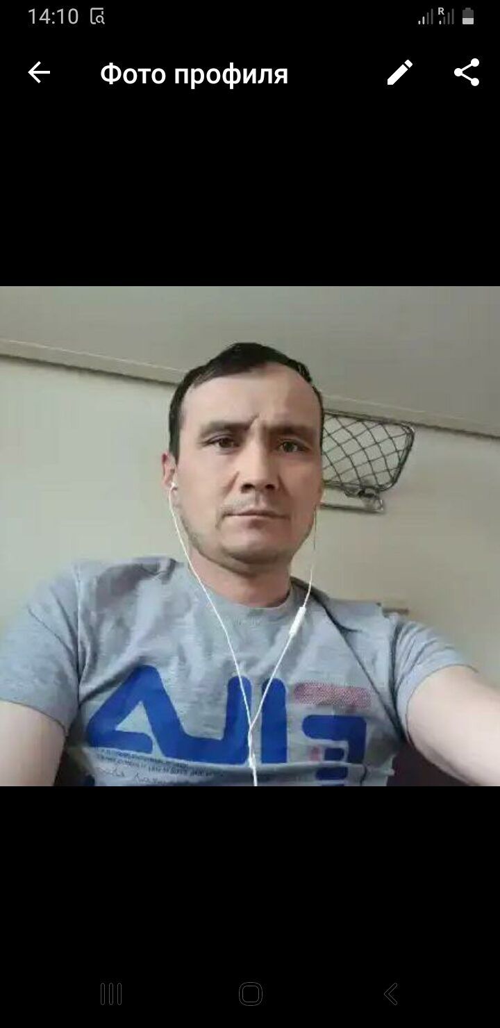 ���� 31073376 ������� ������, 40 ���, ���� ���������� � ���������