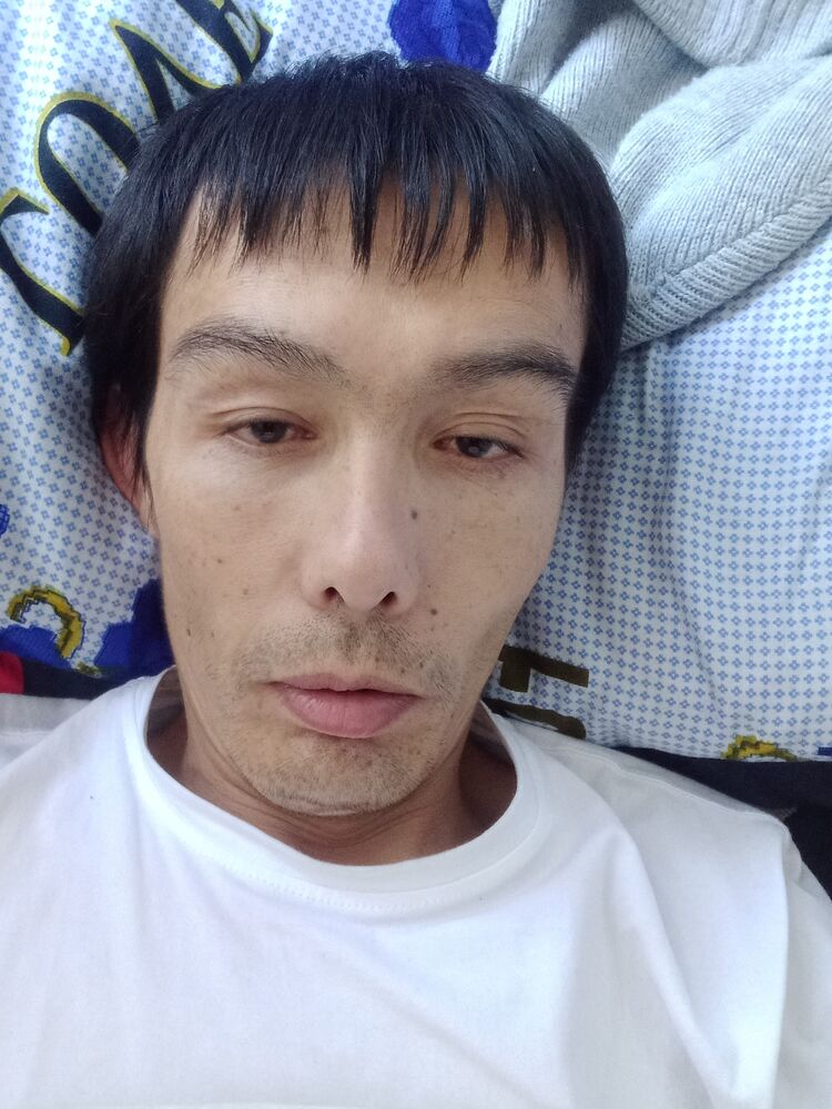  24040976  , 41 ,    -