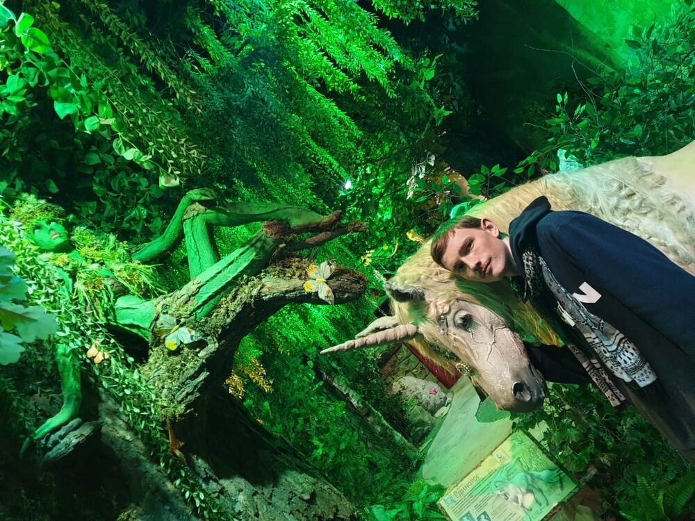 ���������� ������, ���� ������� ��������, 29 ���, ������������ ��� ������, ����� � ���������, c�������� ���������