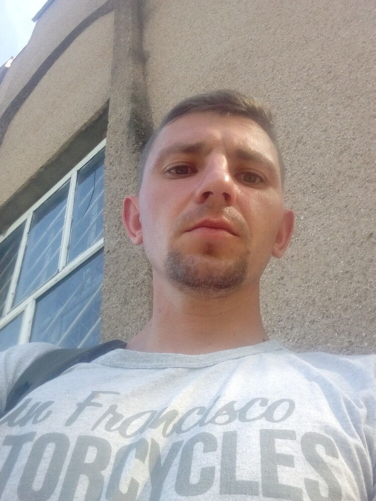  13036446  Vitek, 39 ,    