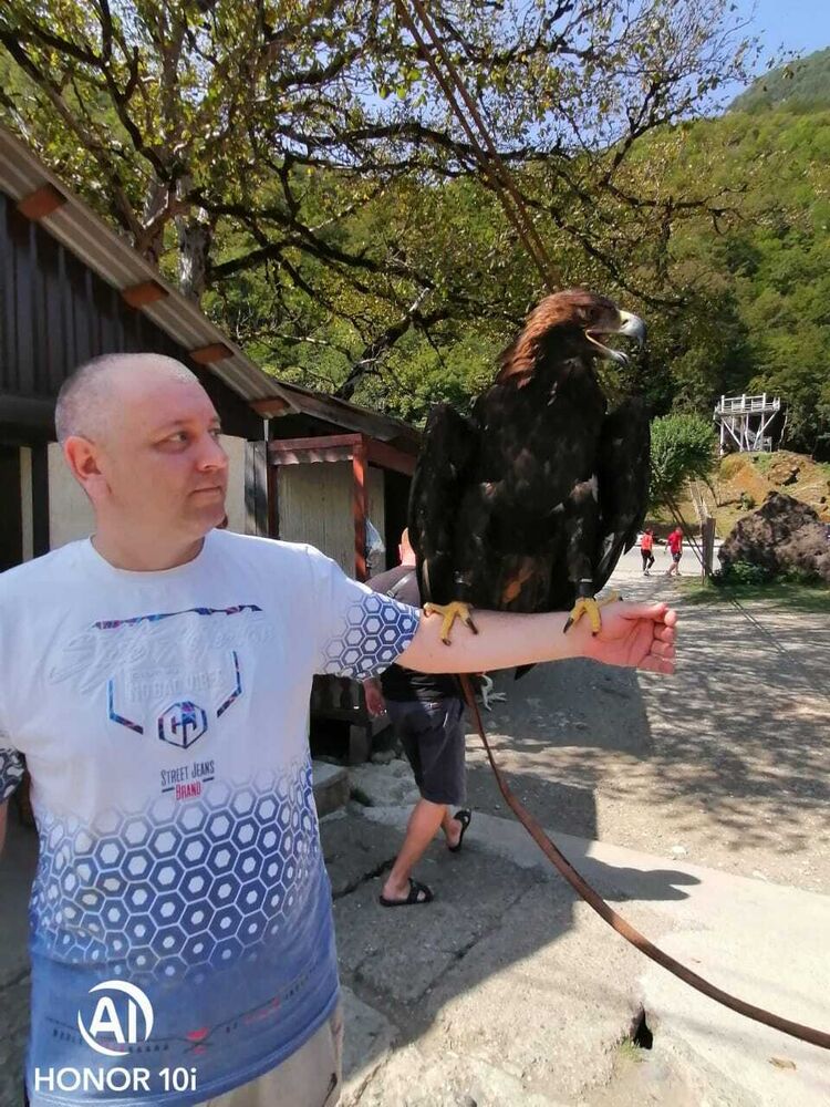 ���� 29353026 ������� �������, 44 ����, ���� ���������� � �����