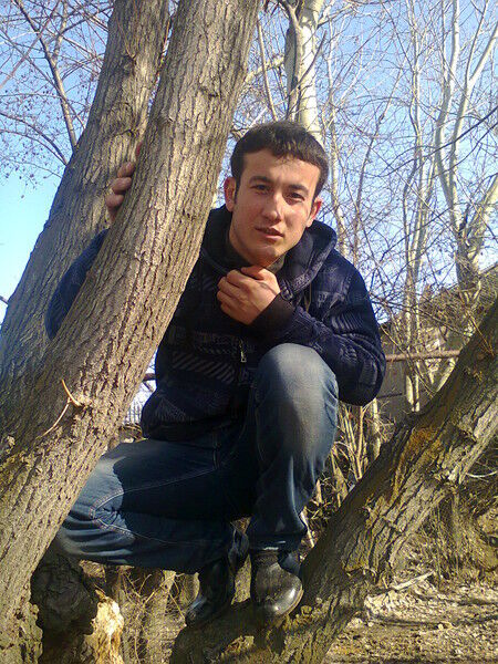  5342616  Romantik, 31 ,    