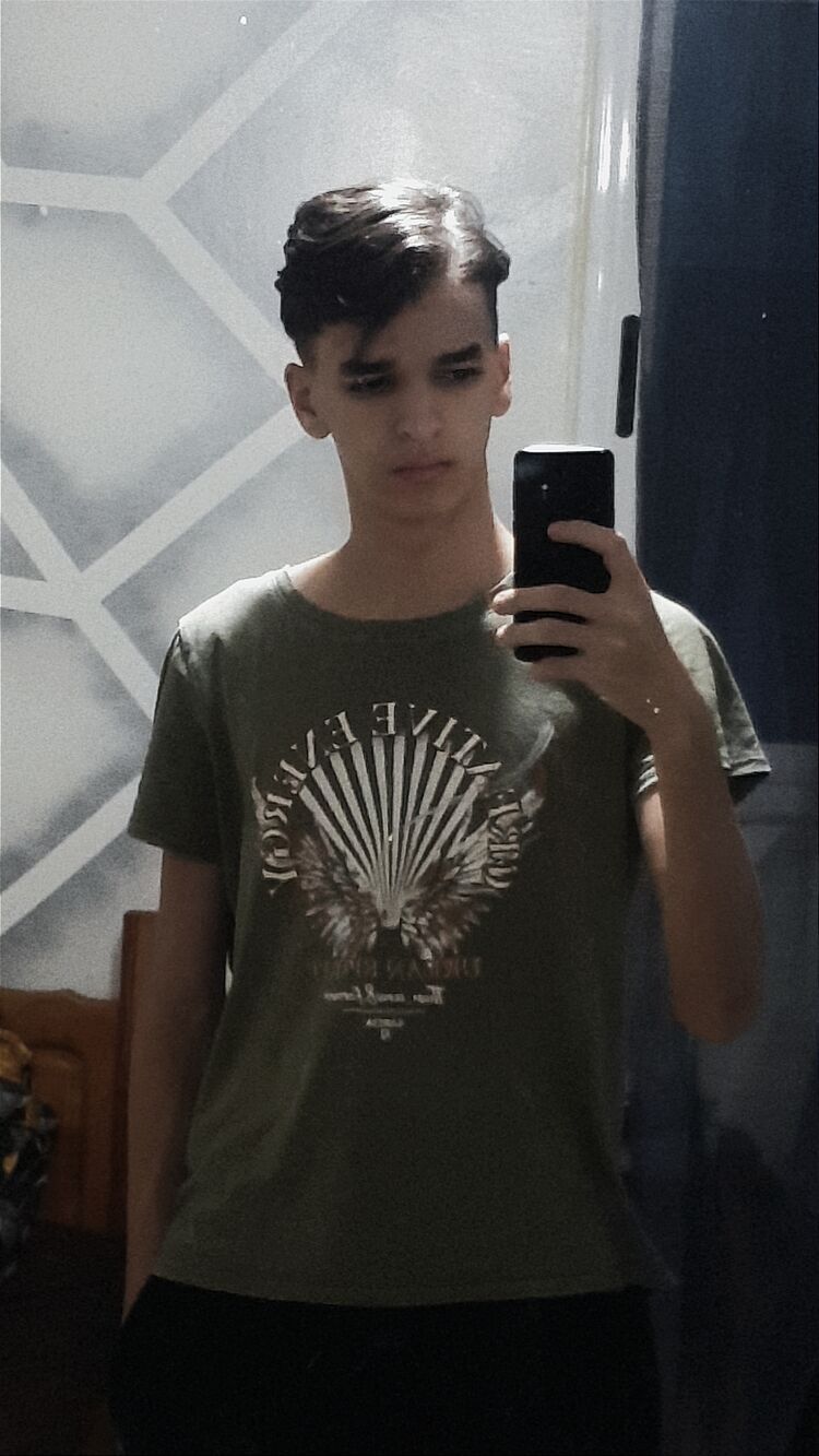  49234066  MZXY, 20 ,    