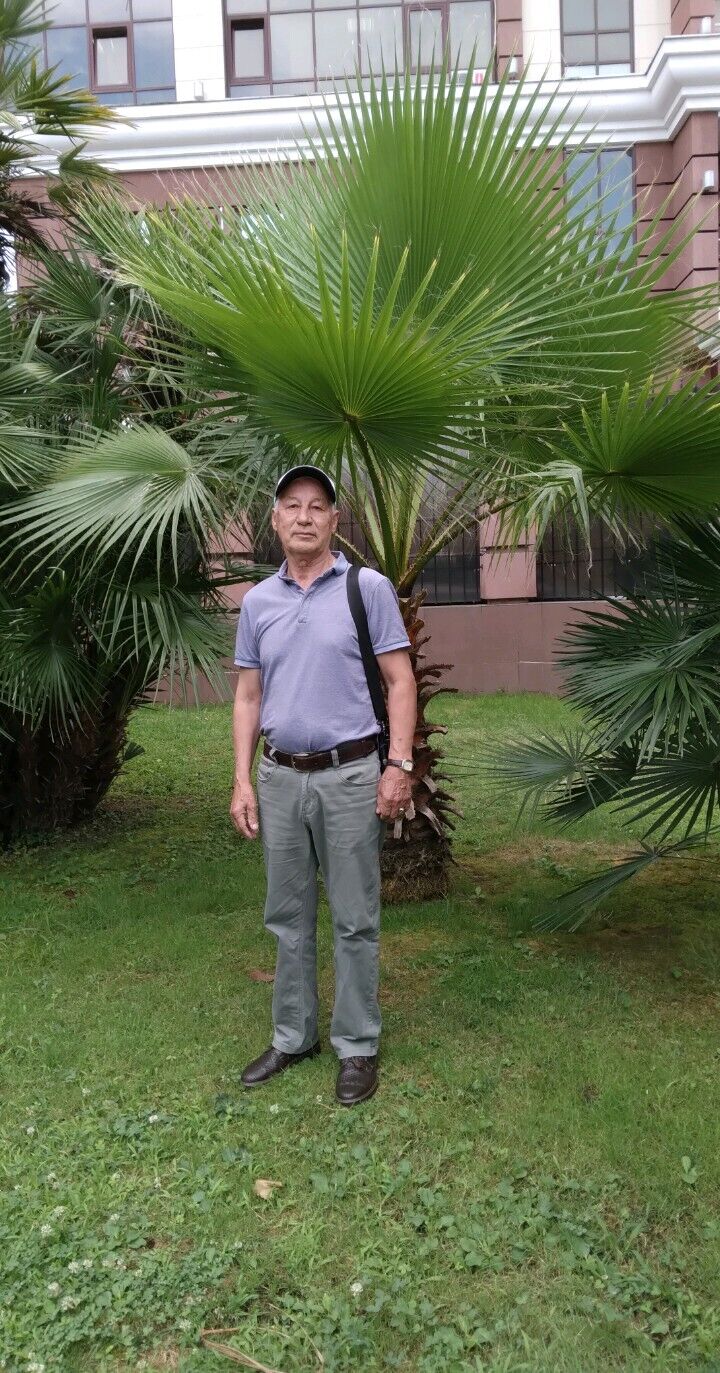  52050916  , 65 ,     