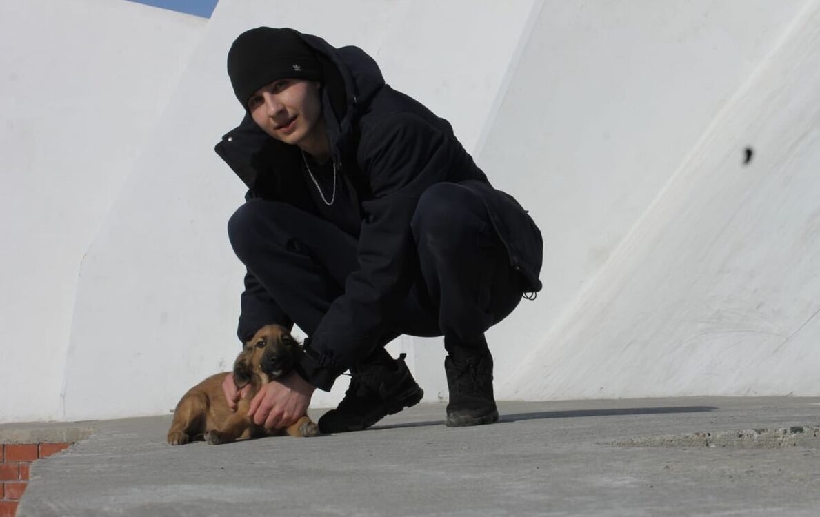 ���� 19631746 ������� �������, 27 ���, ���� ���������� � ��������