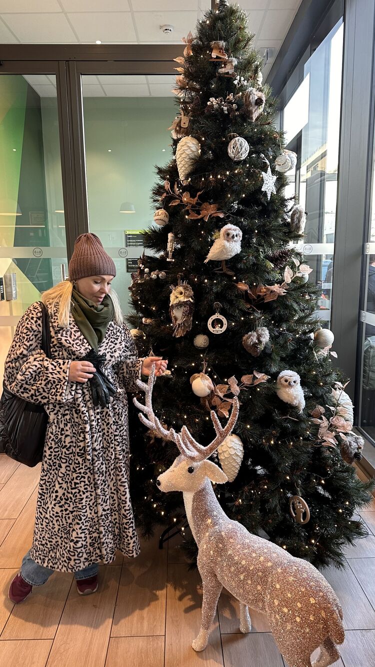 ���������� �����, ���� ������� �����, 56 ���, ������������ ��� ����� � ���������, c�������� ���������