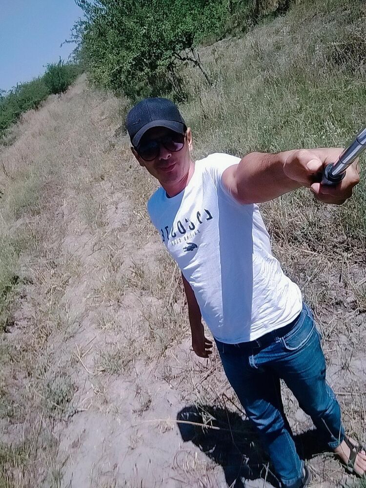  16956386  , 40 ,    