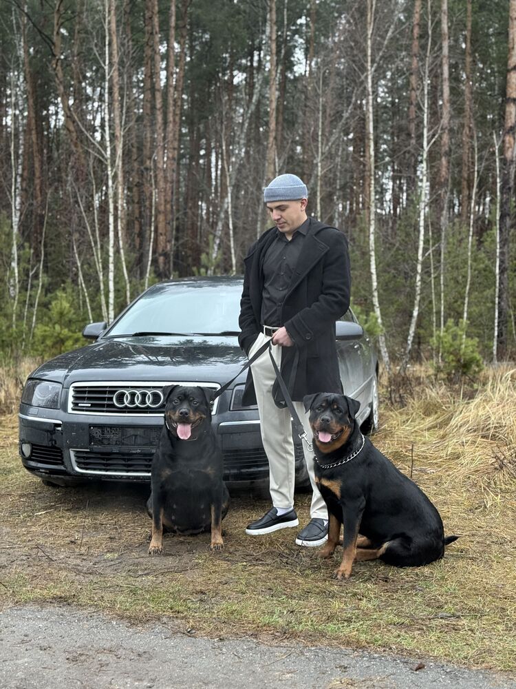 ���������� ����, ���� ������� ����, 26 ���, ������������ ��� ������, ����� � ���������