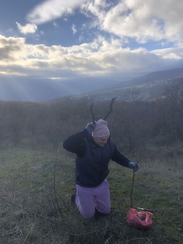 ���� 40150546 ������� ������, 28 ���, ���� ���������� � �����������