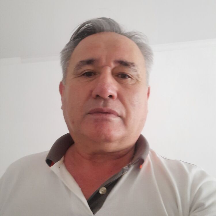  46248626  , 56 ,    