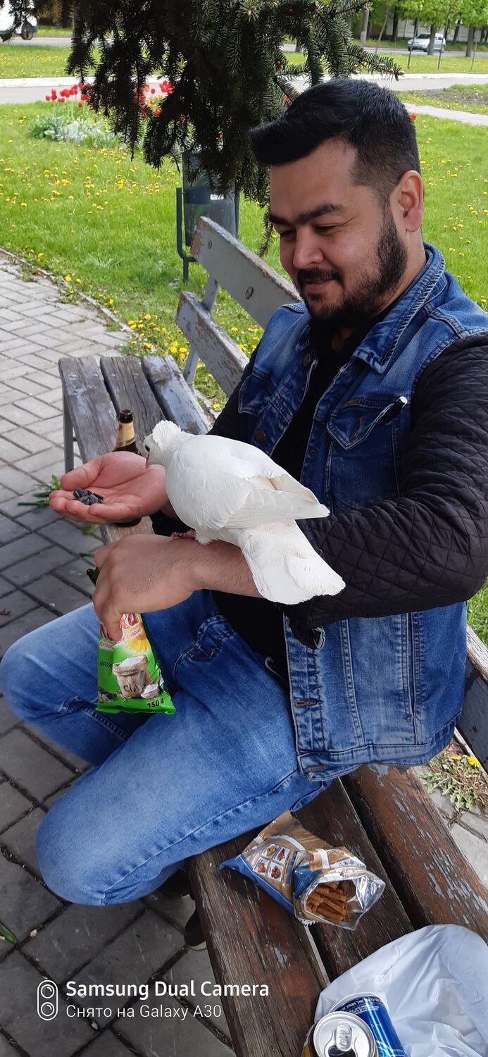 ���� 25177196 ������� ������, 36 ���, ���� ���������� � ��������