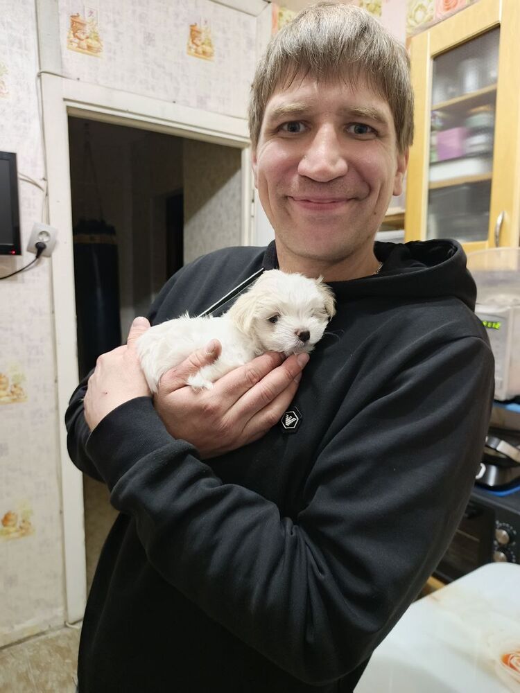 ���������� �����, ���� ������� �������, 35 ���, ������������ ��� ������, ����� � ���������, c�������� ���������