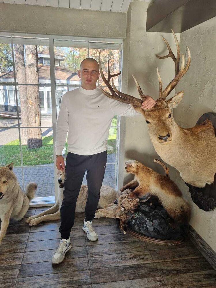 ���� 56063566 ������� �������, 33 ����, ���� ���������� � �������������