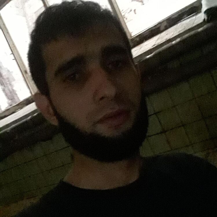  ,   Alli, 31 ,     , c 