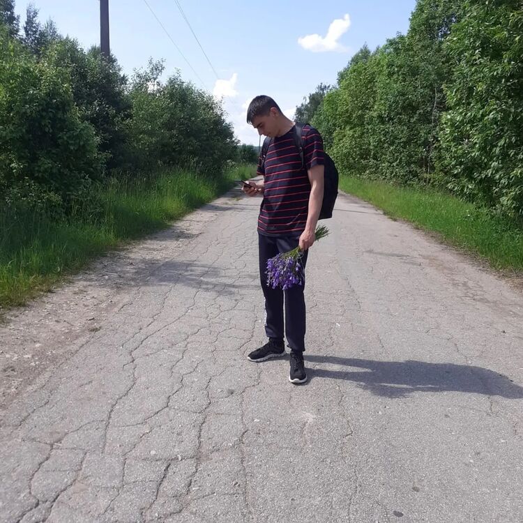  33525516  , 27 ,    