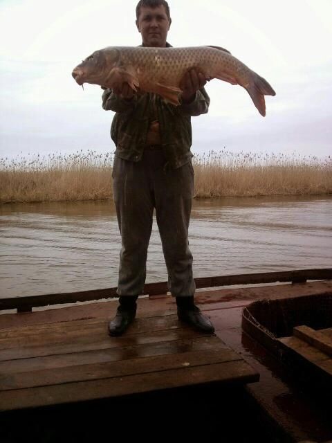 ���� 25265436 ������� ��������, 35 ���, ���� ���������� � ���������