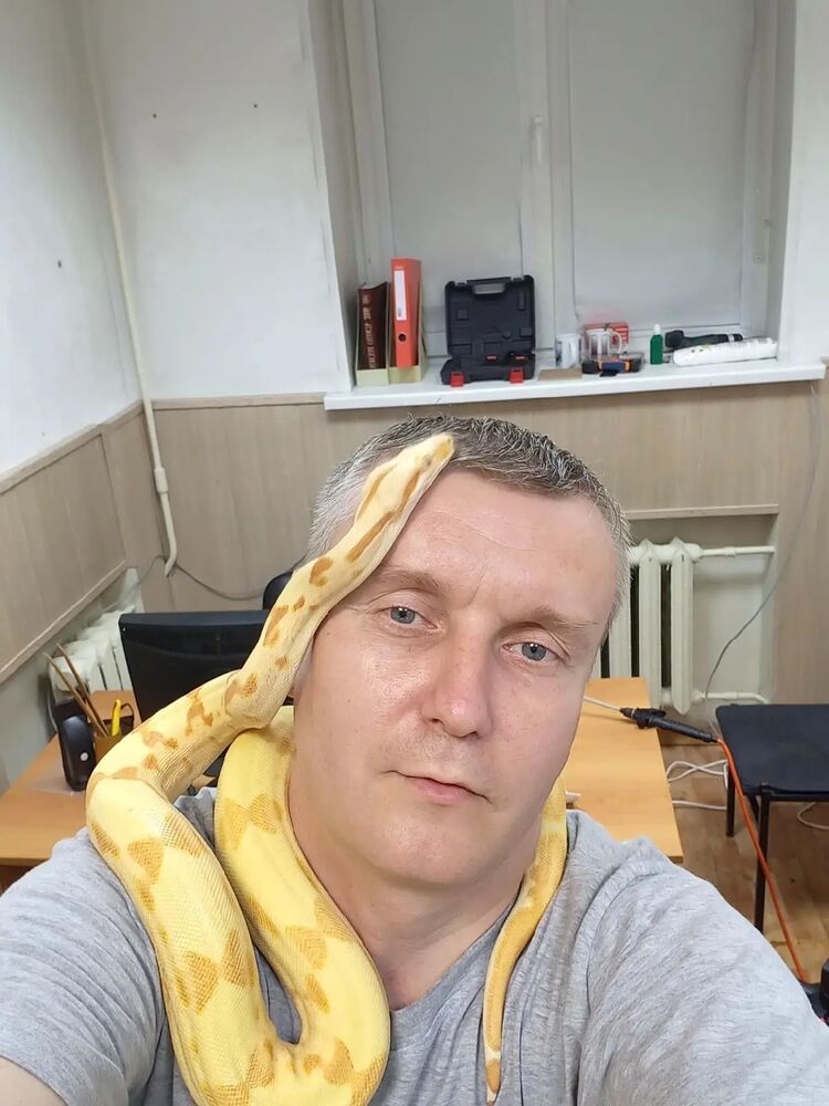 ���������� ������, ���� ������� �������, 45 ���, ������������ ��� ������, ����� � ���������, c�������� ���������