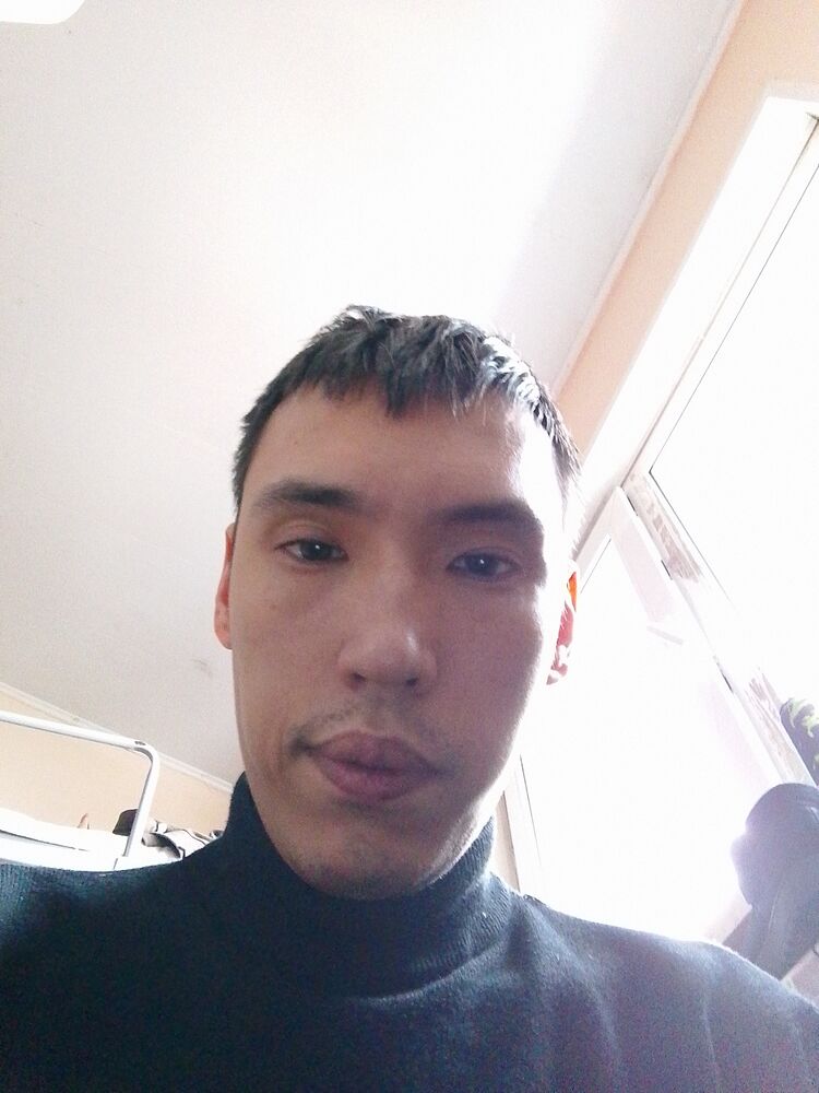  43053886  , 29 ,    