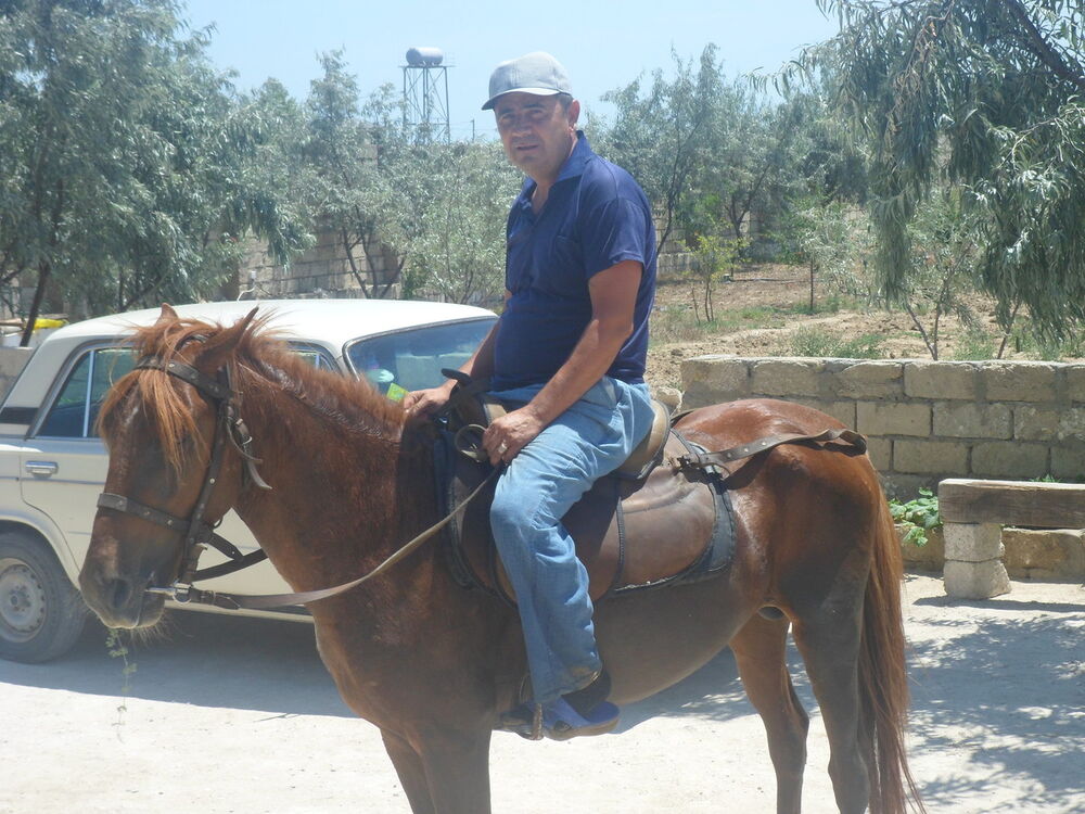  ,   Gabil, 61 ,   