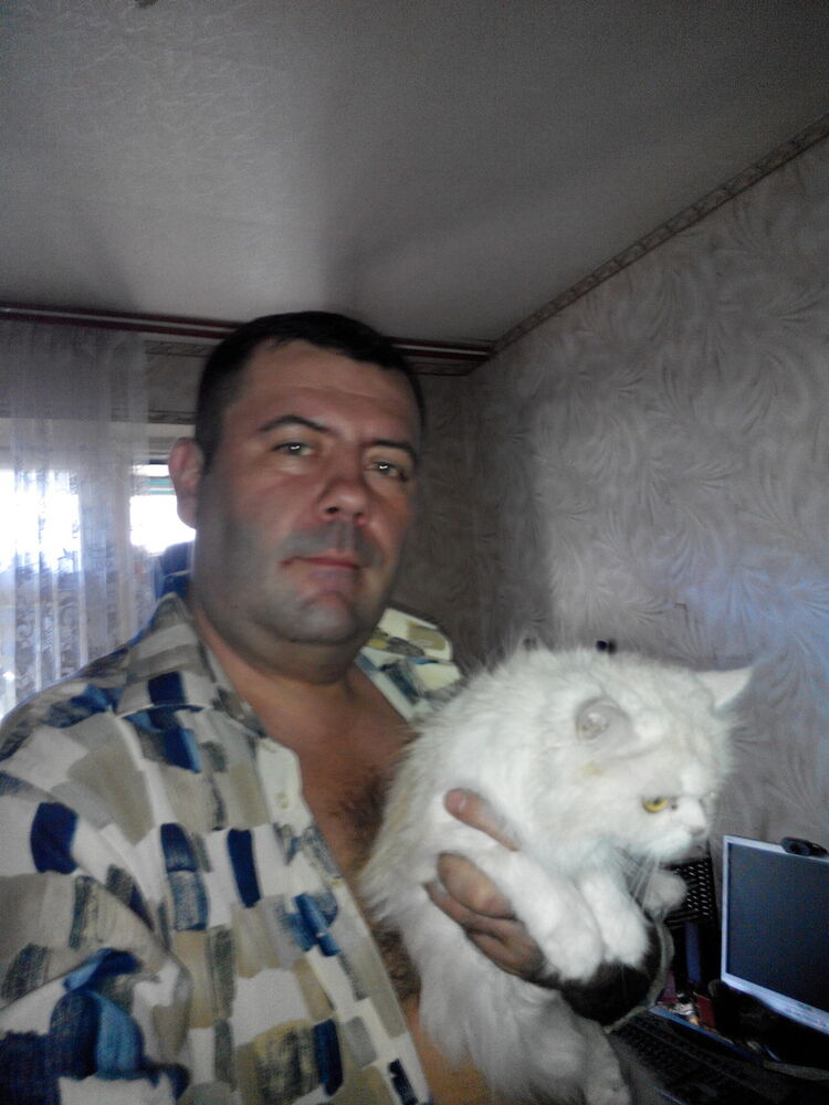 ���������� ������ ���, ���� ������� ����, 50 ���, ������������ ��� ������, ����� � ���������, c�������� ���������