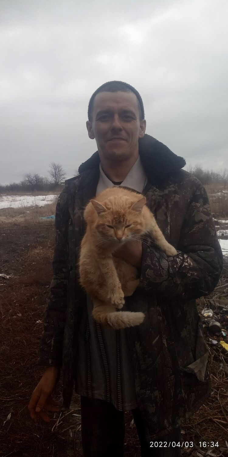 ���� 25699136 ������� ���, 40 ���, ���� ���������� � ����