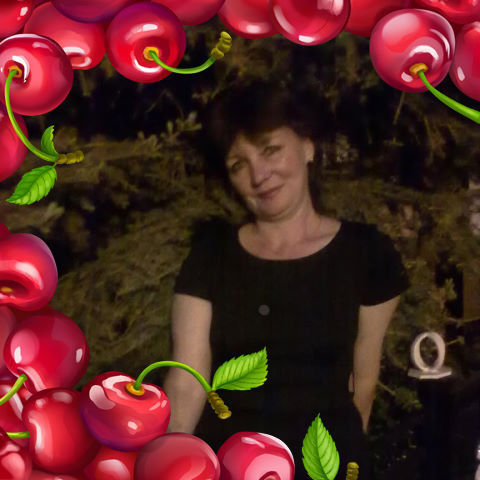  ,   , 53 ,   