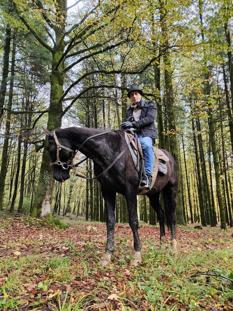 ���������� ������, ���� ������� �������, 40 ���, ������������ ��� ������, ����� � ���������