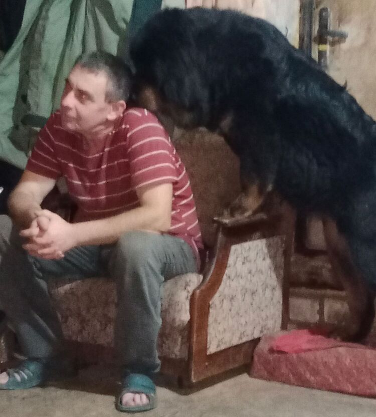  ,   , 55 ,   ,   