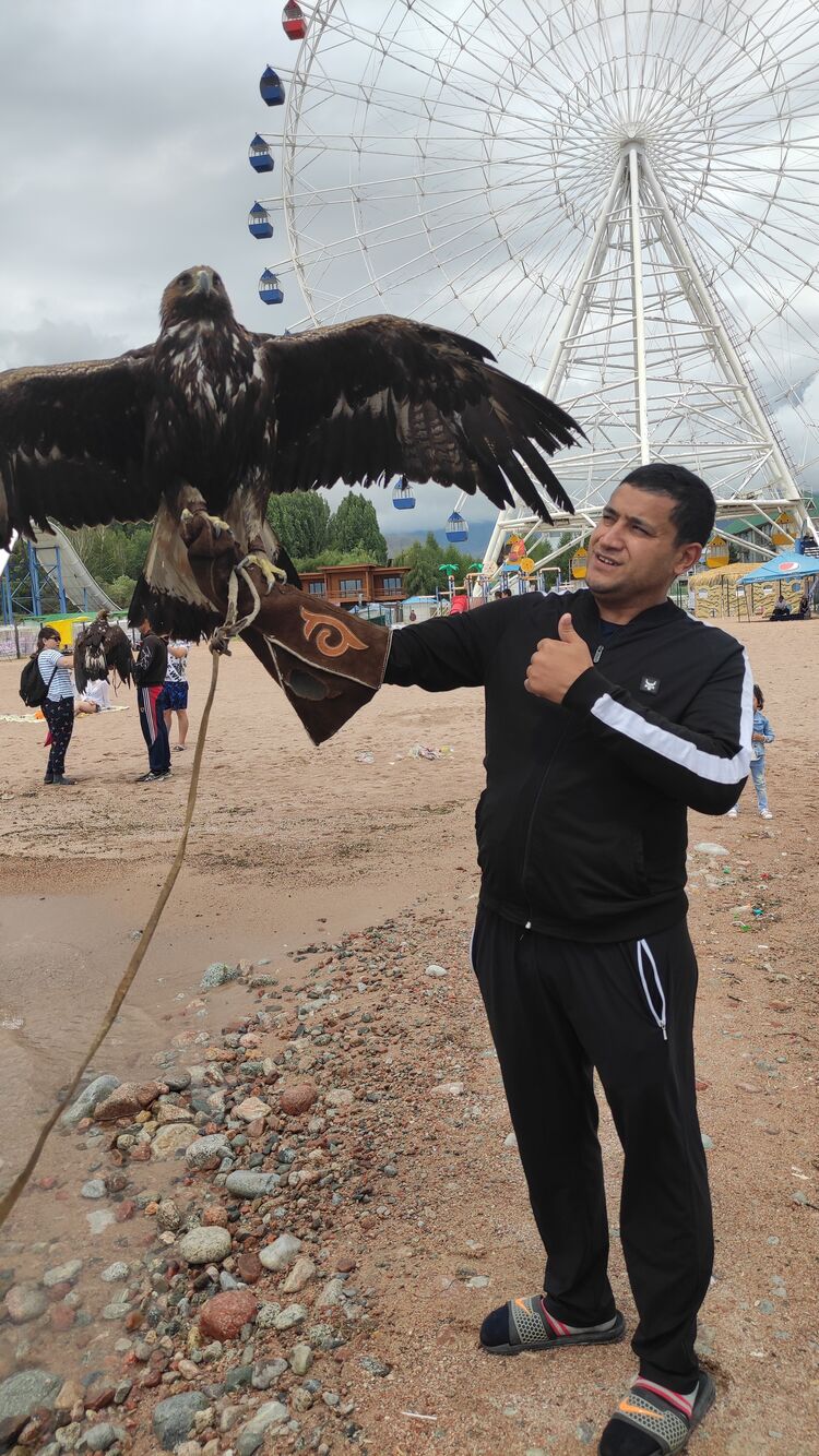 ���� 28149156 ������� ���������, 36 ���, ���� ���������� � �����-����������