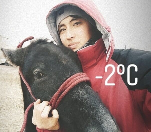 ���� 27734736 ������� �����, 28 ���, ���� ���������� � ��������