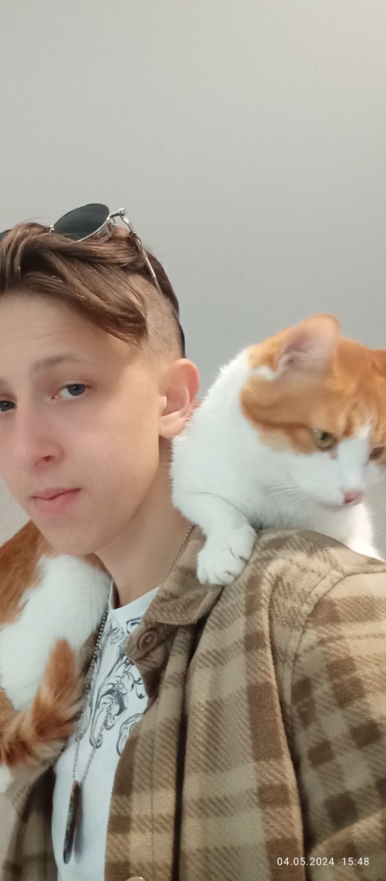 ���� 53674486 ����� ����, 20 ���, ���� ���������� � �������-��-����