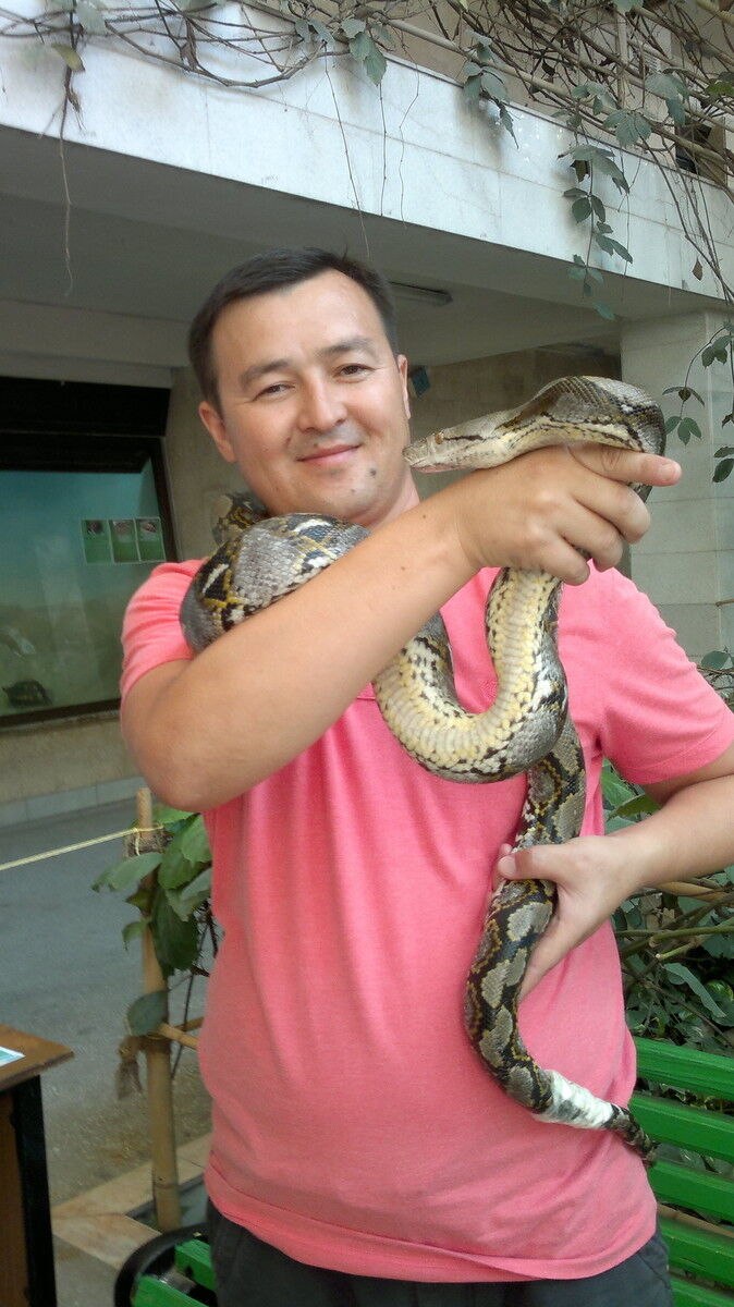 ���������� ������, ���� ������� ����, 45 ���, ������������ ��� ������