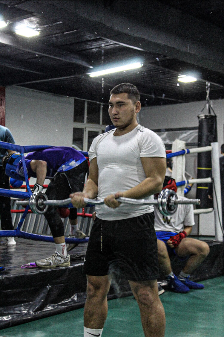 ���� 43196386 ����� Borzy, 25 ���, ���� ���������� � ������