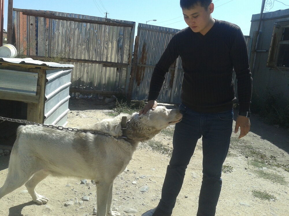  -,   Tair, 35 ,   ,   , c 