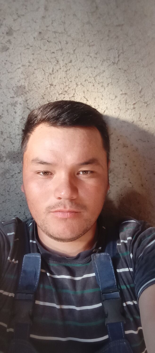  36651876  , 29 ,    