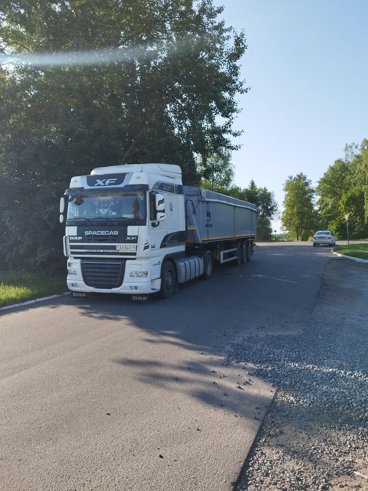  37501486  , 34 ,    