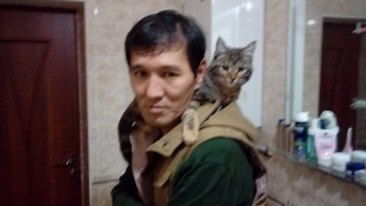  ,   , 62 ,   ,   , c 