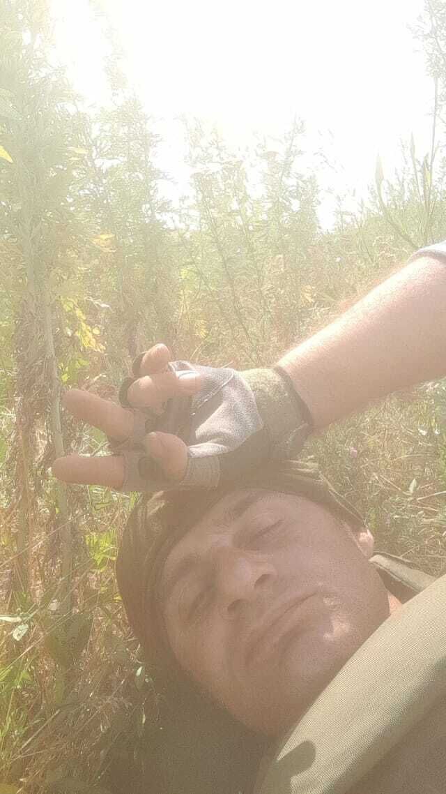 ���������� �����������, ���� ������� ��������, 37 ���, ������������ ��� ������, ����� � ���������