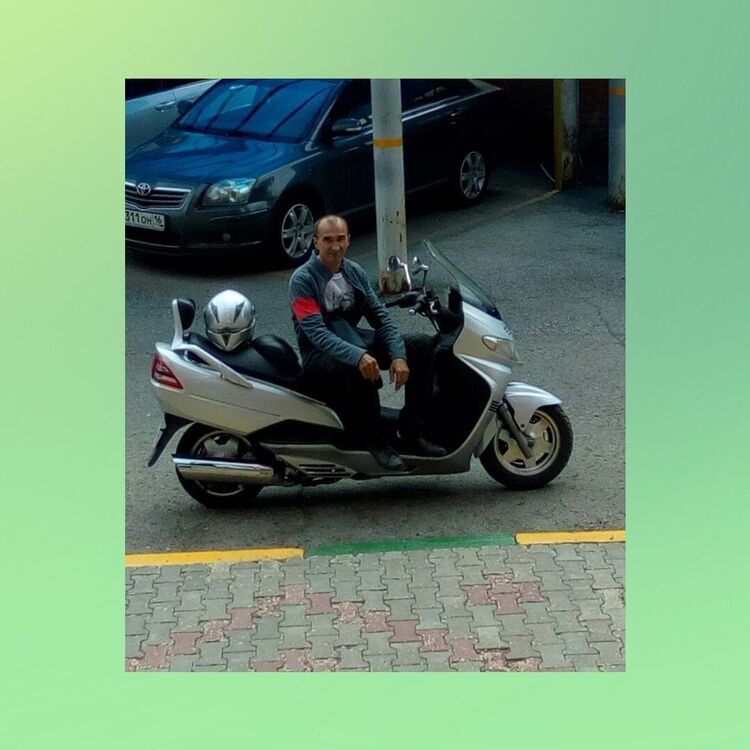  36884856  , 56 ,    