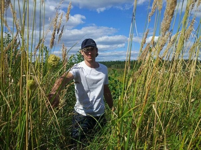 ���� 12289736 ������� �������, 45 ���, ���� ���������� � ������