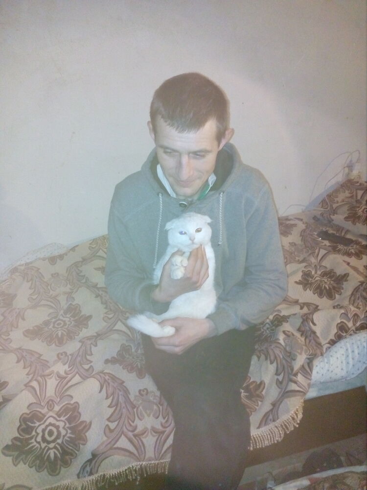 ���� 23189516 ������� �������, 38 ���, ���� ���������� � �������