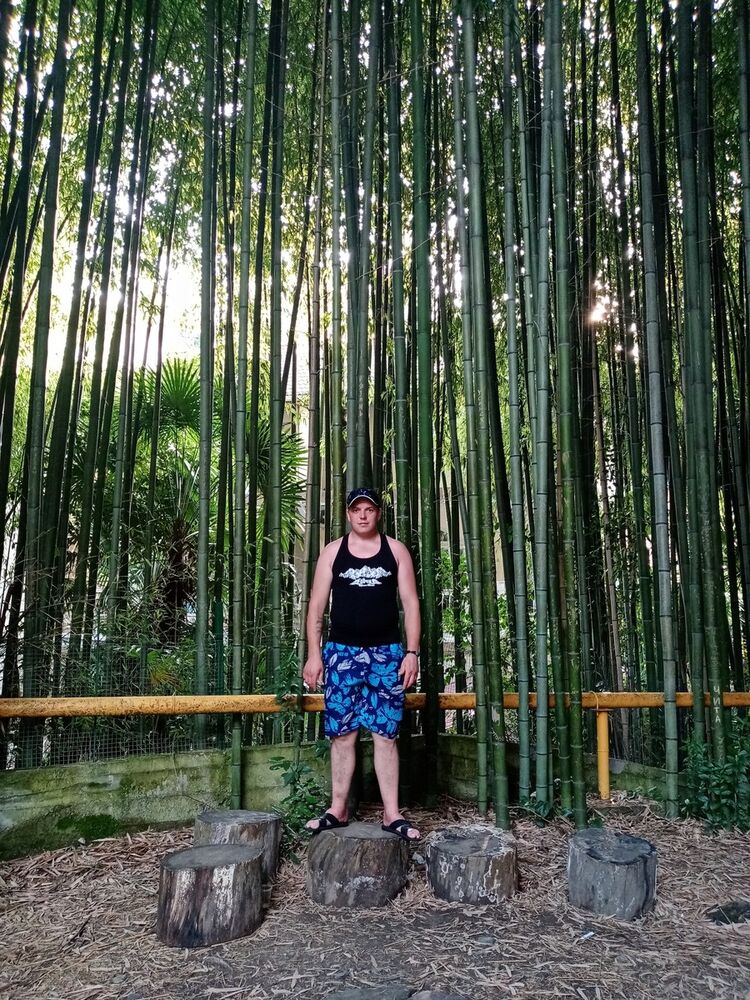  17331966  , 42 ,    -