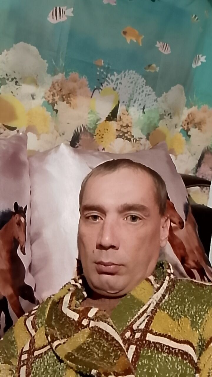  48233906  , 40 ,    